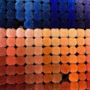 Meet your Posher, Bryan